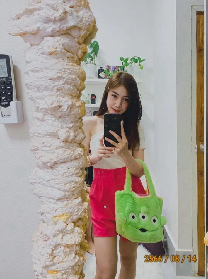 Chiến lược và tầm nhìn của Lan Chi Shyn đối với suxel.com.mx